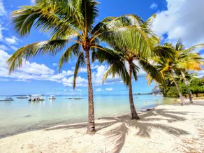 MOOREA - Fare Taina Dream - Image 3