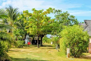 MOOREA - Fare Taina Dream - Image 2