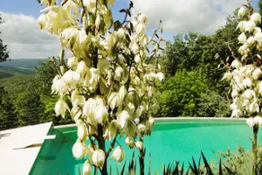 Villa Tuscany With Flair, Luxury & Panorama - Image 2