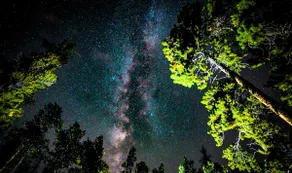 Dog-friendly Cabin+Hot Tub+35min to Breckenridge - Image 5