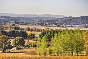Chic Willamette Valley Home w/ Deck & Vineyard! - Image 2