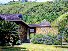 Pool Mountain Moorea - Image 3