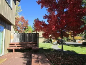 Stunning Lake Forest Glen, HOA access - Image 3