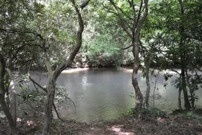 Sweetwater Escape Hot Tub Creek Access - Image 2