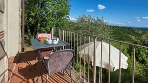 Scorpione, Montefiorile, Gaiole in Chianti, Siena - Image 5