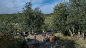 L'Oliveta - Image 5