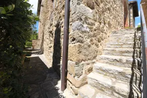 Vin Santo, Vignale, Castelnuovo Berardenga, Siena - Image 4