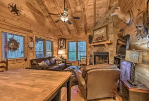 \"Little Rock Creek Cabin\" - 10 minutes de Blue Ridge! - Image 4