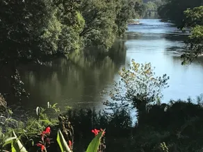 Time Flies on the River - Image 3