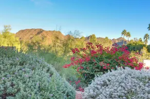 1BR Phoenix Condo w / Mtn View, Community Pool & Spa - Image 2