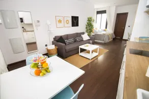 C77 - Romantic Studio in the Center with terrace - Image 5