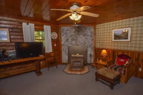 The Pines | Log Home, Wooded Setting! - Image 4