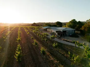 Bed in a Shed One - Unique Vineyard Stay - Image 2