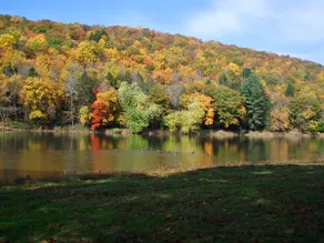 2BR Callicoon House sul fiume Delaware! - Image 2