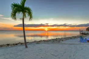 Tropical Stay on the Bay • Close to Stadiums! - Image 2