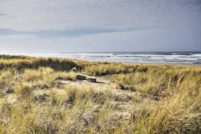 Private Rockaway Beach Retreat: 2 Blocks to Ocean! - Image 3