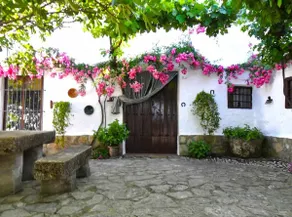 The Courtyard House - Image 3
