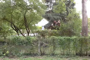 La Cabane du Pêcheur à 10min de Disneyland Paris - Cabane & Cabanon - Image 3