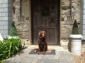 Fletchers Combe Farm - Image 3