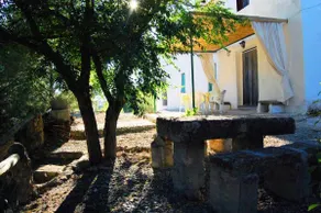 Uncle Miguel's House - Image 4