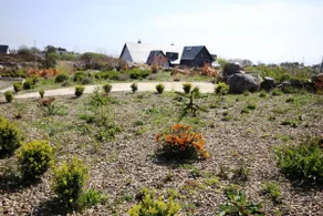 I Uplands, Spiddal - Image 5