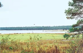 Alojamento T1 em Lärbro - Image 2