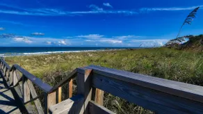 Sounds of the crashing waves and bird watching - Image 3
