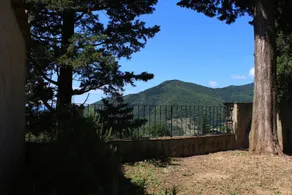 Il Rosmarino - Azienda Agricola Frascole - Image 2