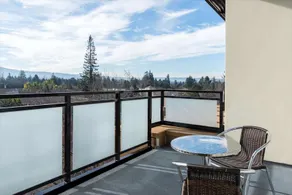 Sunny & Spacious Luxury 1 Bedroom in Mountain View - Image 2