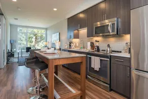 Sunny & Spacious Luxury 1 Bedroom in Mountain View - Image 4