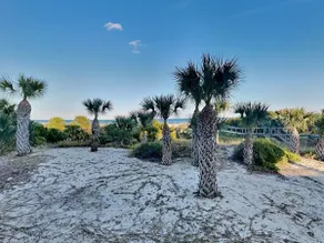 Fort Screven Villas 103 - Image 3
