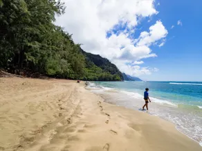 Peaceful Retreat in Haena at Ka Wai Aloha TVNC5137 - Image 4