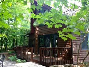 Bearclaw Cabin @ Spring Brook Resort - Image 2