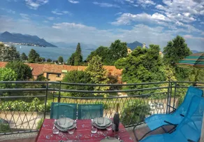 Bella - Image 2