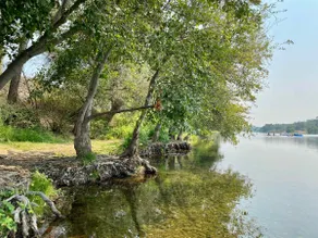 Fast Wi-Fi | Walk to river trails | Private Porch - Image 4