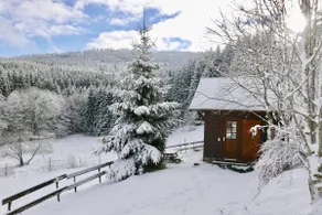 Chalet de la Chaume with ridge views - Image 2