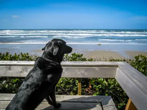 Oceanfront-Front Row Seat to Incredible Views - Image 2