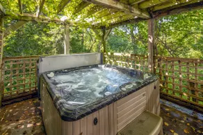 Fire Pit, Hot Tub, Bonus Game Room on 2+ Acres - Image 5