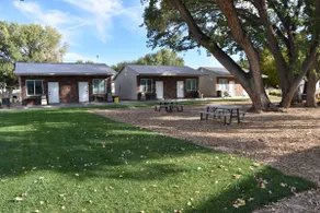 Bunkhouse 5A Under Cottonwood Trees - Image 4