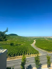 Gite le 555 – Champagne Voirin-Jumel - Image 2
