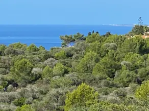 Holiday Home Finca SANT JAUME - Image 3