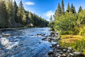 Rustic Riverfront Truckee Cabin w/ Deck & BBQ - Image 2