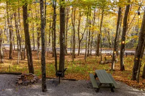Treehouse Cabin near Spruce Knob and Seneca Rocks - Image 5