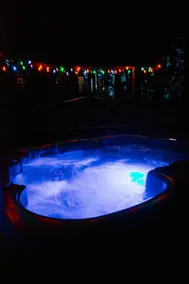 Tree House Tranquil-A-Tree Romantic/Hot Tub - Image 4