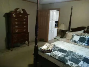 WanderLost Ozarks - Dog friendly, 4 acres - Image 5