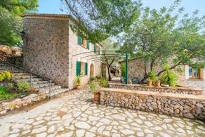 Olive grove (Fornalutx) - Image 5