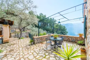 Olive grove (Fornalutx) - Image 3