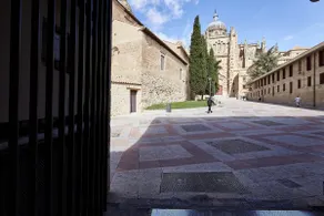 plushomes | The Cathedral Patio - Image 3