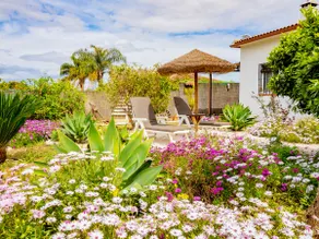 Cubo's Finca Pati / privater Pool / kostenloses WLAN / Garten - Image 3