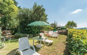 Paucca 1 - Image 2